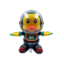Space Duck