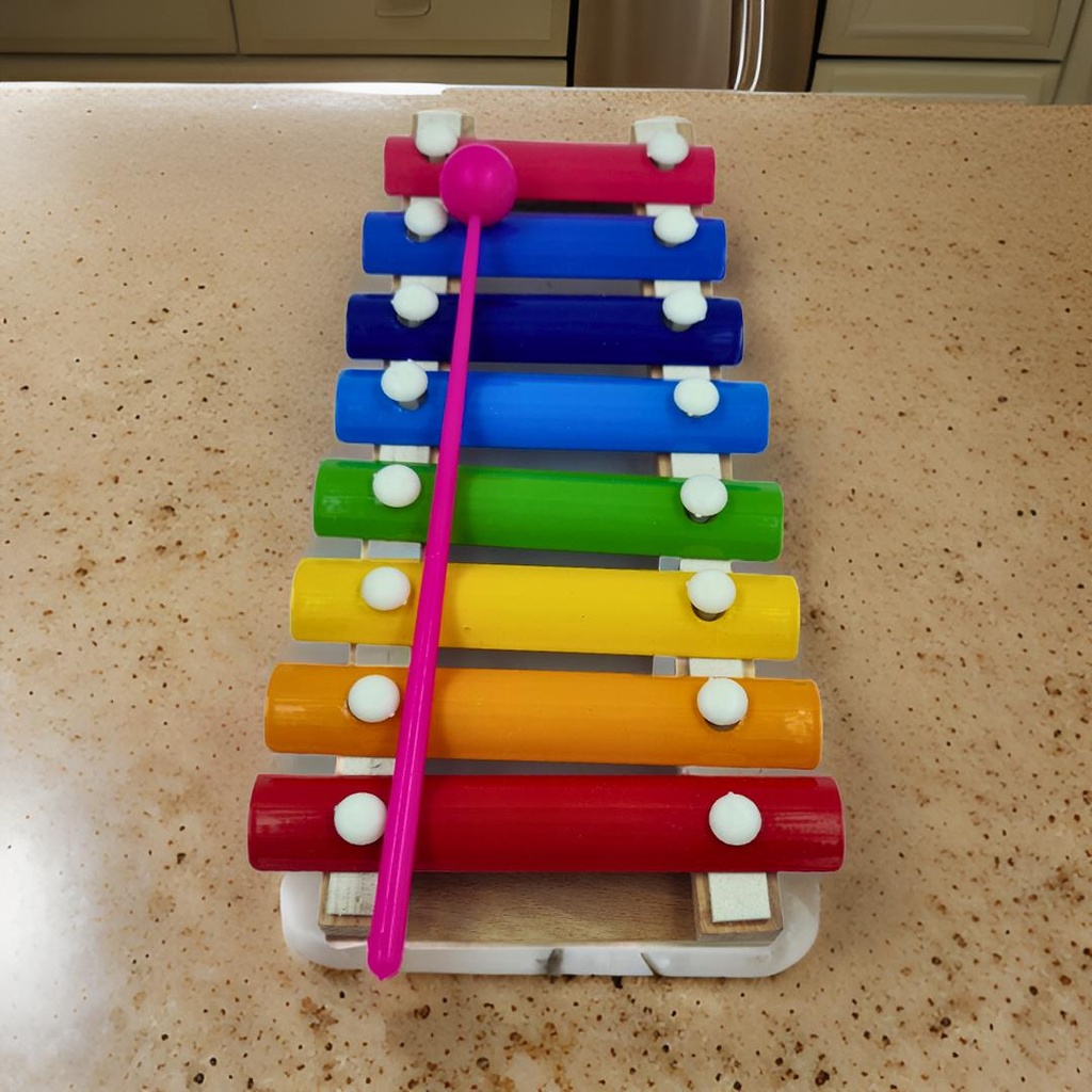 Xylophone with 8 Tones, Musical Toy for Kids with Child Safe Mallets